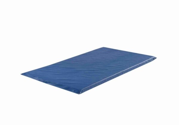 colchonete ginastica azul