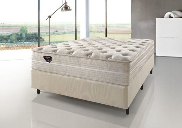 conjunto box audaz molas ensacadas high power casal