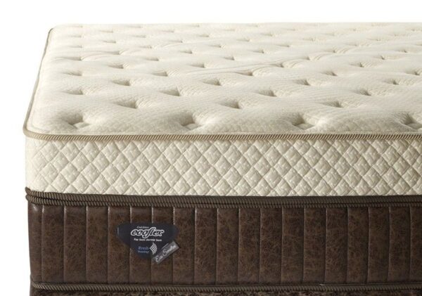 conjunto box eco sensitive mola ensacada high power casal