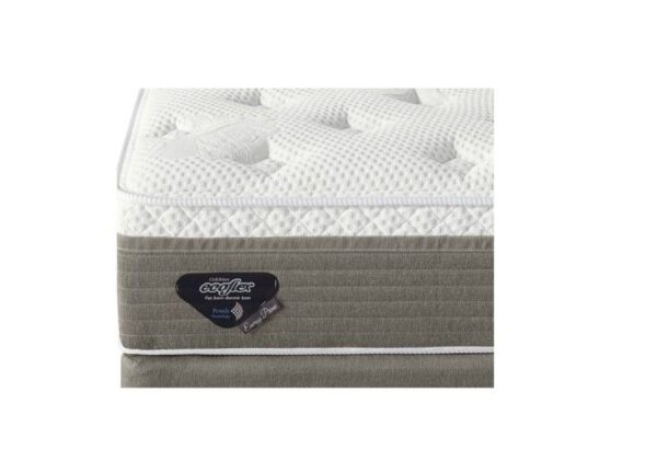 conjunto box energy prime molas verticoil casal