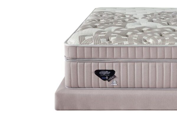 conjunto box majestic molas ensacadas high power king