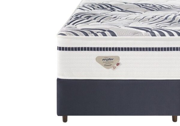 conjunto box multi support molas miracoil queen